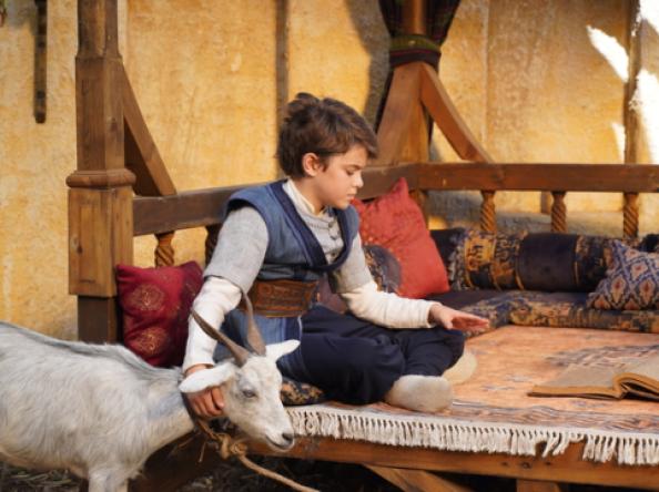 صندوق البيئة بين 