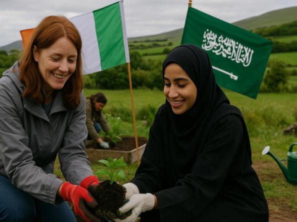 من إيرلندا إلى السعودية: ميزانية الحكومة وتأثيرها على القطاع غير الربحي