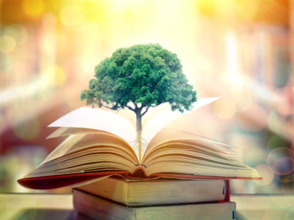 تعليم إدارة المنظمات غير الربحية: إلى أين يتجه هذا المسار الأكاديمي؟