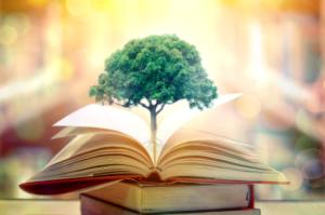 تعليم إدارة المنظمات غير الربحية: إلى أين يتجه هذا المسار الأكاديمي؟