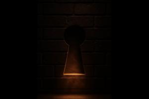 هل تطمح إلى قيادة منظمة غير ربحية كمدير تنفيذي؟