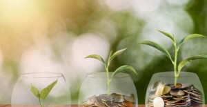 5 نصائح لاستدامة مالية أكبر وأكثر
