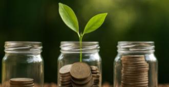 إتقان جمع التبرعات عبر البريد المباشر والبريد الإلكتروني: رؤى احترافية من خبراء المجال