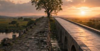 ما بعد المُؤسس: كيف تواصل المنظمة حياتها دون سحر البدايات؟